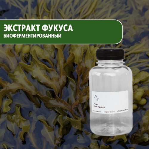 Фукус биоферментированный жидкий экстракт бурой водоросли